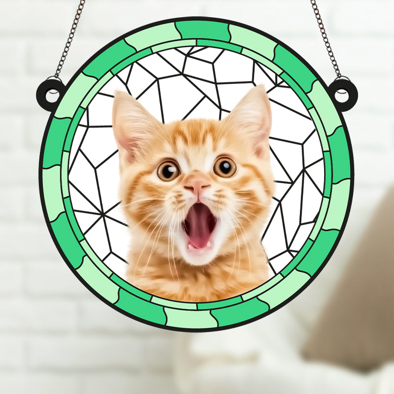 CATTURASOLE PERSONALIZZATO IN VETRO METACRILATO PER ANIMALI DOMESTICI