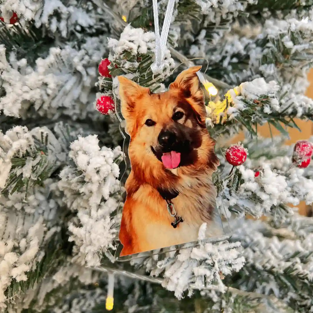 Regalos de Navidad: Originales y Personalizados - Personalizaregalo.com